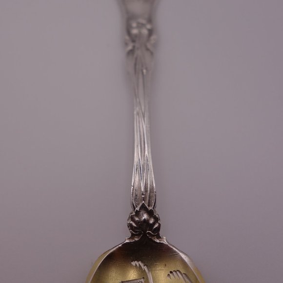 Canada Niagara Falls Sterling Collectible Spoon - Picture 4 of 16